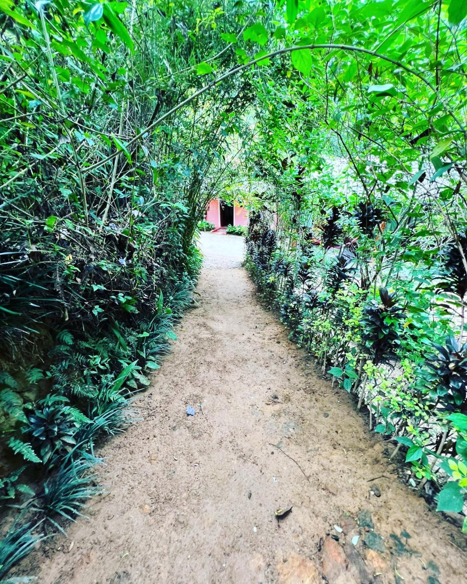 Ella Secret Paradise מראה חיצוני תמונה