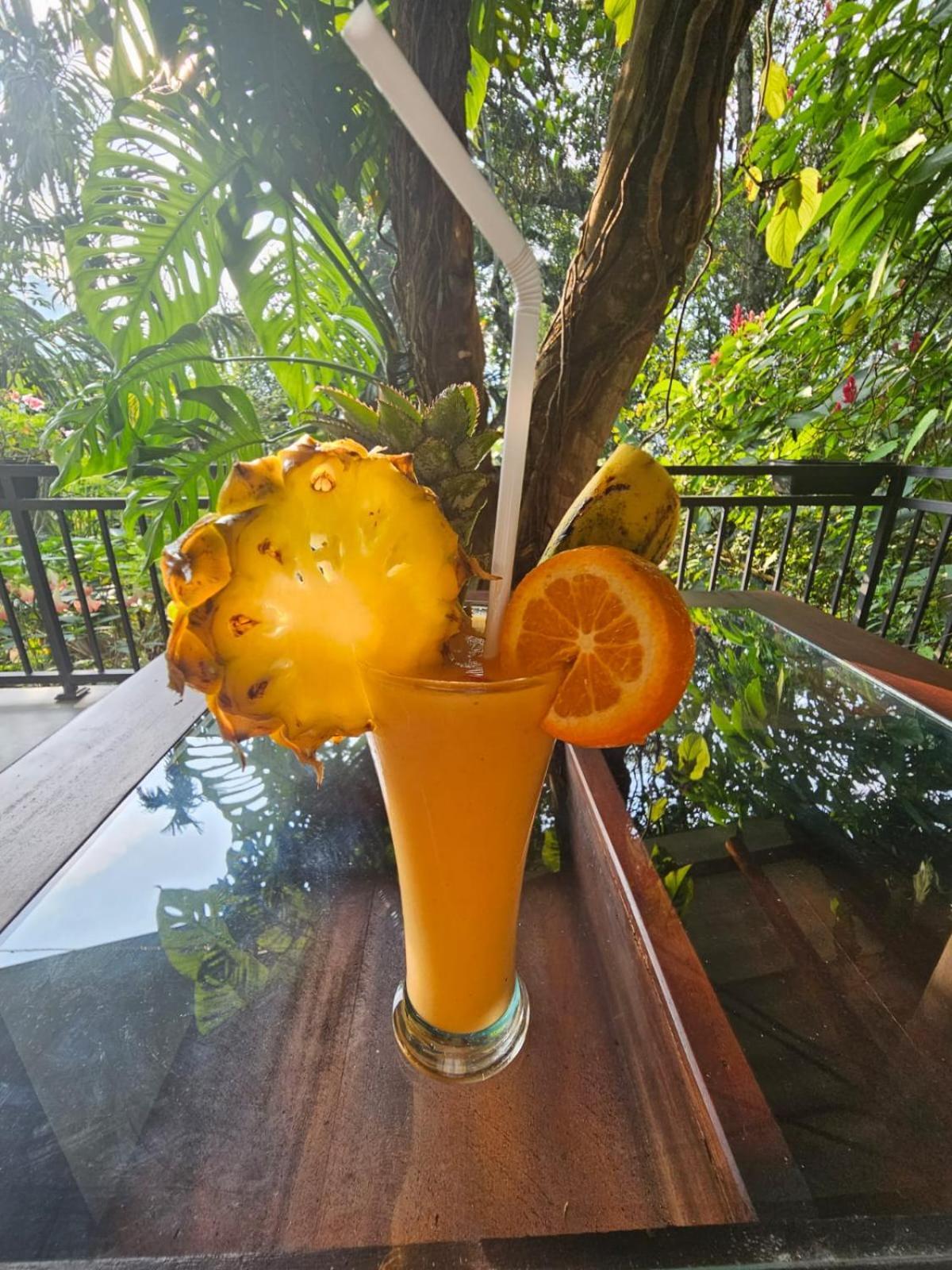Ella Secret Paradise חדר תמונה
